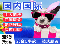 奇台江航空物流国际宠物托运 【国